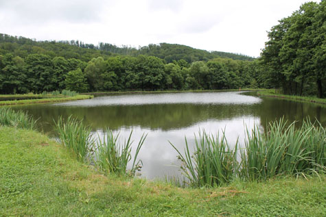 ponty horgaszat - tavak